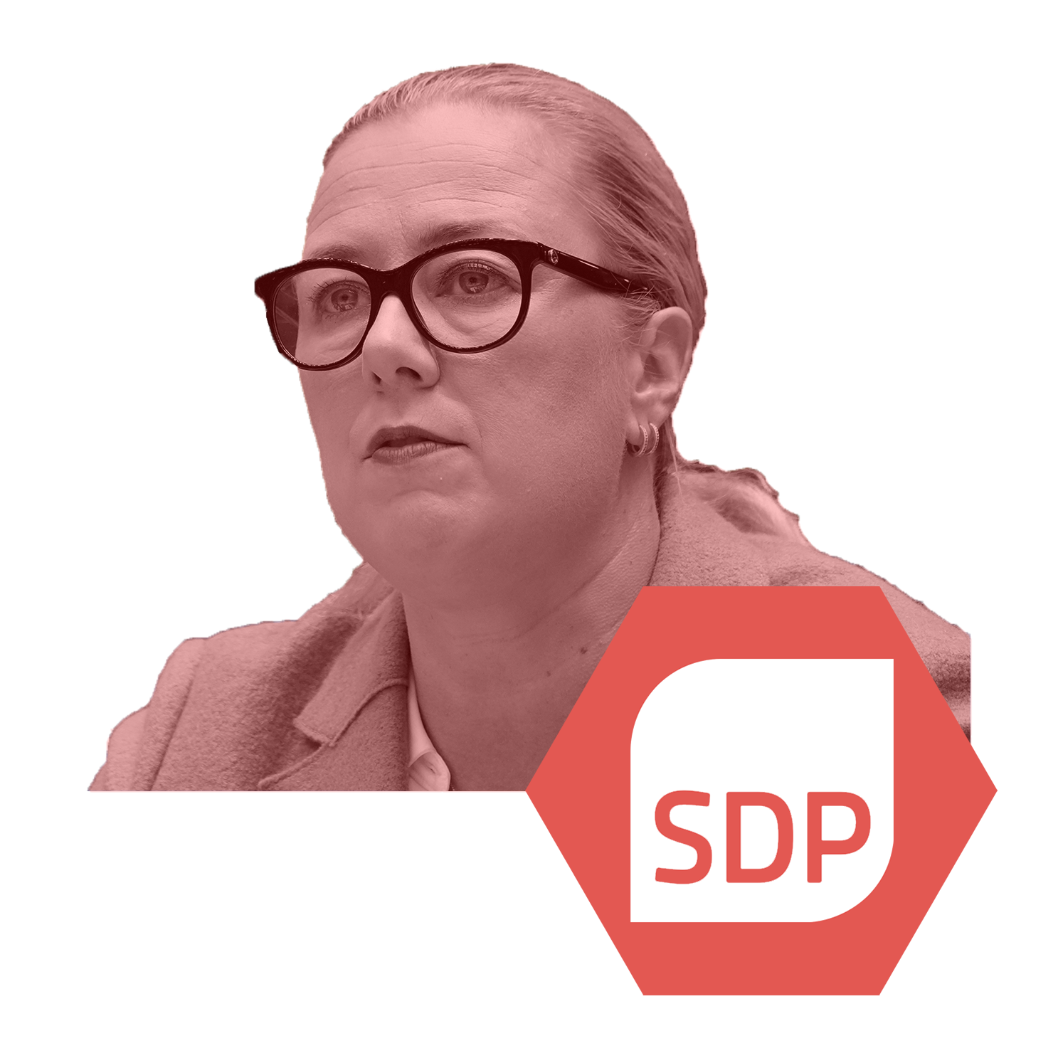 sdp icon