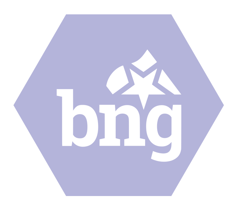 bng icon