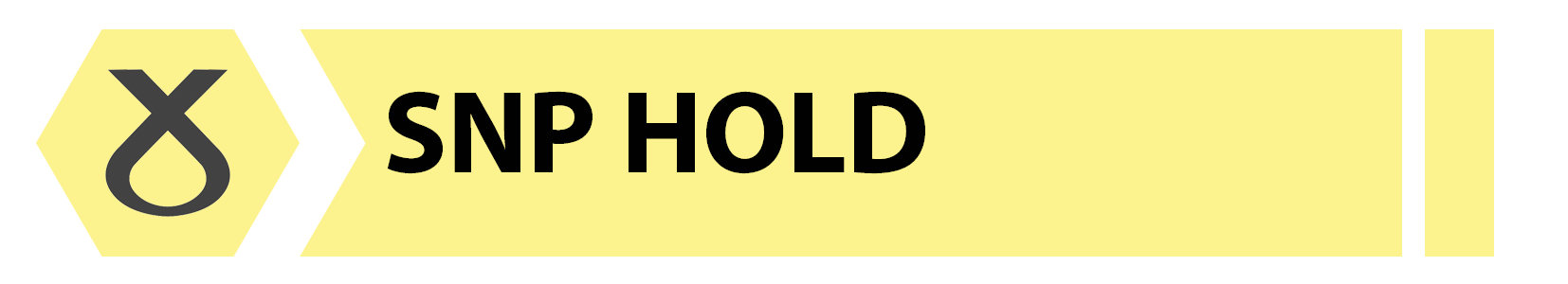 snp hold